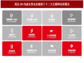 2017年中國管理軟件廠商云轉(zhuǎn)型現(xiàn)狀與趨勢分析