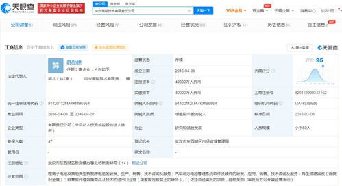 探索軟件信息咨詢服務的價值與應用
